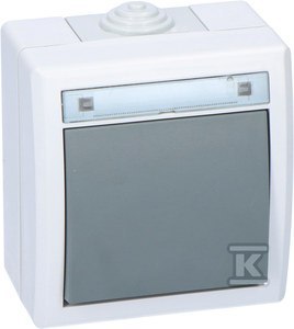 ŁĄCZ.1-BIE.SCHOD.N/T IP55 SZARY AQUANT ŁĄCZ.1-BIE.SCHOD.N/T IP55 SZARY AQUANT