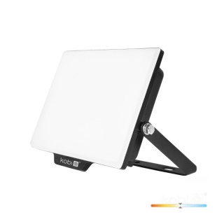 Naświetlacz led DELYO MHN 20W 4000K IP65 kobi