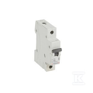 WYŁĄCZNIK NADPRĄDOWY RX3 1P B 6A 6000