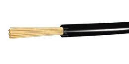 LGY 1,0 500V CZARNY H05V-K 100M