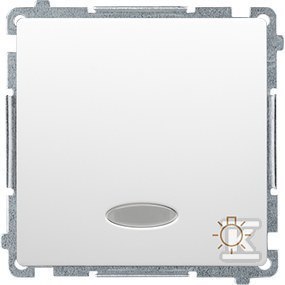 PRZ.ŚWIATŁO PODŚW. BMS1L.01/11+RAM.BI
